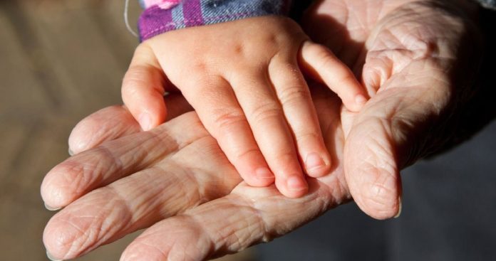 Dosar indemnizatie bunici si pensie alimentara in 2026