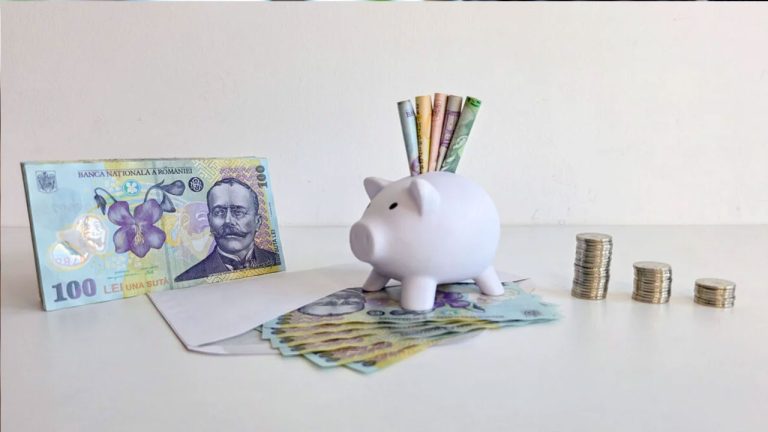 Tânăr programator care lucrează remote pe laptop verificând contul pentru Pensia Pan-Europeană PEPP