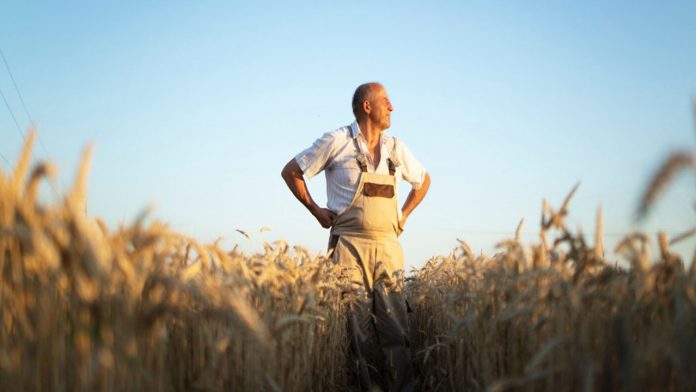 Zilier semnand contract asigurare voluntara casa de pensii 2026