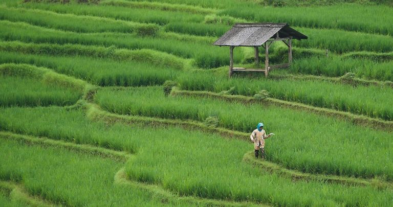 Calcul Stagiu Cotizare Agricultură Pre-1989 | Ghid Aprilie 2026