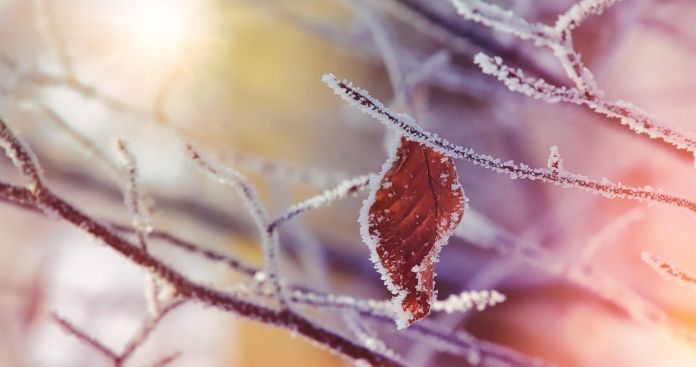 Impactul Concediului Fără Plată asupra Pensiei în 2026