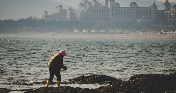 Impactul Grupelor de Muncă la Pensie în Aprilie 2026