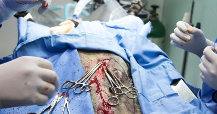 Pensie Invaliditate Oncologie 2026: Ghid Proceduri Urgență