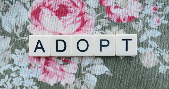 Pensia de Urmaș Copii Adoptați 2026: Drepturi și Egalitate